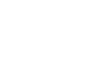 dp logo